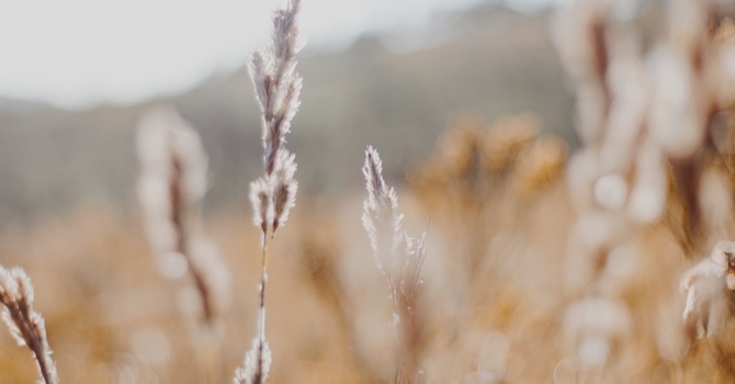 Rest and Restore Protocol - Music Therapy