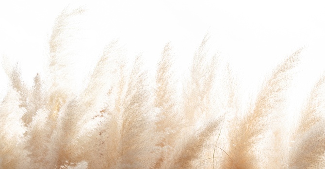 Safe and Sound Protocol - Music Therapy